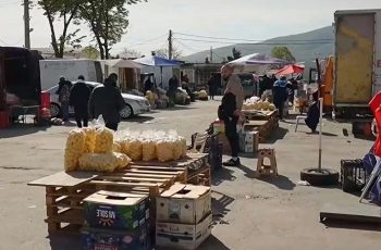 Цените в Първенец: Скъпите зеленчуци остават реалност, не очаквайте голям спад