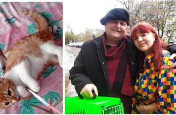Джина Иванова в бой със „Сатаната“: Драма за изгубено коте и жалба в полицията