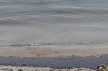 Тревога във Варна: Мазутно петно замърсява плажа между второ и трето буна